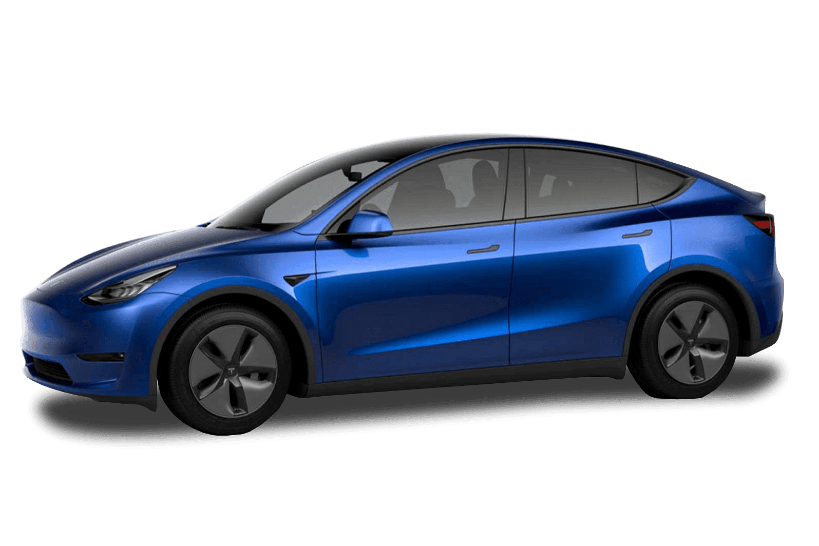 Blue Y — Tesla Model Y